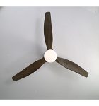 פורסט עם תאורה כהה תקריב